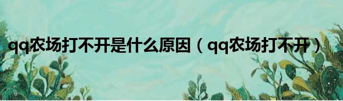 qq农场打不开是什么原因（qq农场打不开）