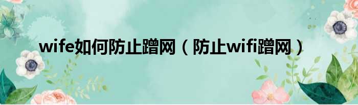 wife如何防止蹭网（防止wifi蹭网）