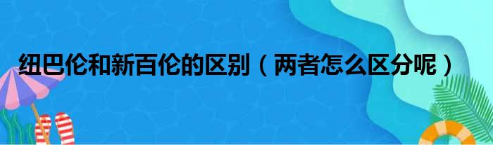 纽巴伦和新百伦的区别（两者怎么区分呢）