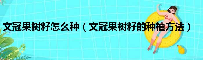 文冠果树籽怎么种（文冠果树籽的种植方法）