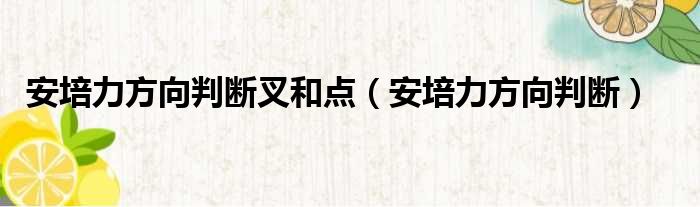 安培力方向判断叉和点（安培力方向判断）