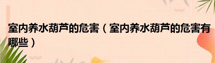 室内养水葫芦的危害（室内养水葫芦的危害有哪些）