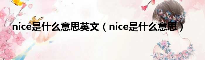 nice是什么意思英文（nice是什么意思）