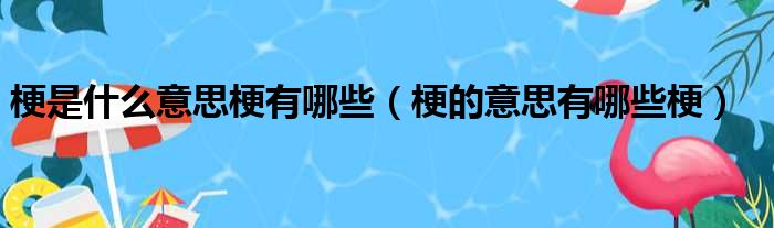 梗是什么意思梗有哪些（梗的意思有哪些梗）