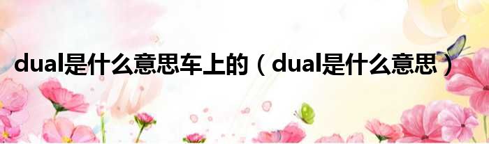 dual是什么意思车上的（dual是什么意思）