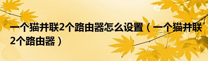 一个猫并联2个路由器怎么设置（一个猫并联2个路由器）