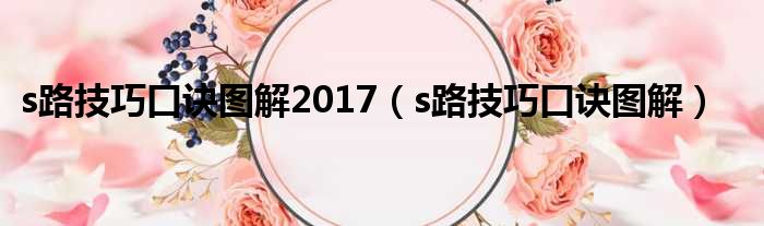 s路技巧口诀图解2017（s路技巧口诀图解）