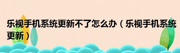 乐视手机系统更新不了怎么办（乐视手机系统更新）