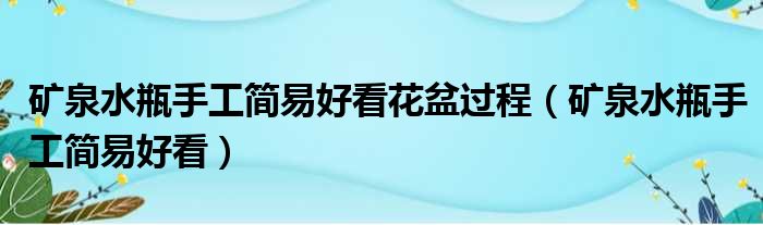 矿泉水瓶手工简易好看花盆过程（矿泉水瓶手工简易好看）