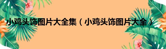 小鸡头饰图片大全集（小鸡头饰图片大全）