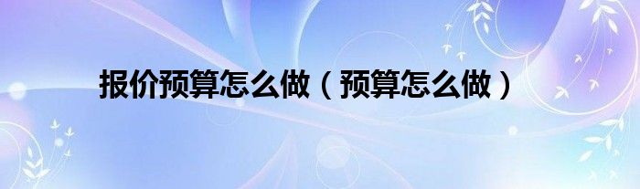 报价预算怎么做（预算怎么做）