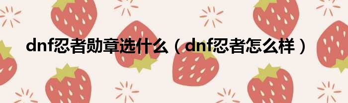 dnf忍者勋章选什么（dnf忍者怎么样）