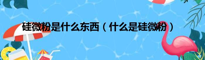 硅微粉是什么东西（什么是硅微粉）