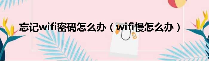 忘记wifi密码怎么办（wifi慢怎么办）