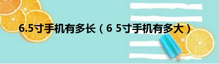 6.5寸手机有多长（6 5寸手机有多大）