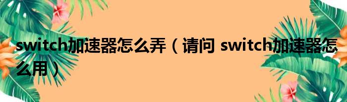 switch加速器怎么弄（请问 switch加速器怎么用）