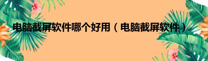 电脑截屏软件哪个好用（电脑截屏软件）