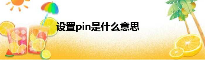 设置pin是什么意思