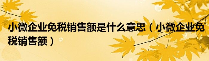 小微企业免税销售额是什么意思（小微企业免税销售额）