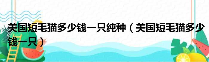 美国短毛猫多少钱一只纯种（美国短毛猫多少钱一只）