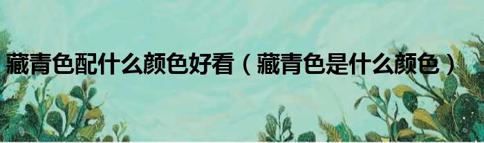 藏青色配什么颜色好看（藏青色是什么颜色）