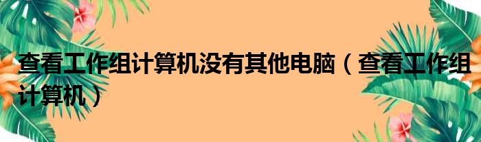 查看工作组计算机没有其他电脑（查看工作组计算机）