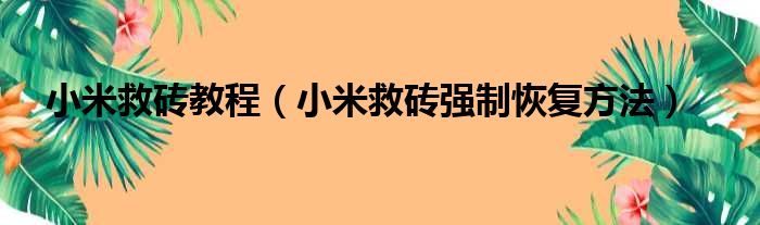 小米救砖教程（小米救砖强制恢复方法）