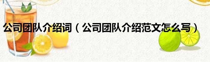 公司团队介绍词（公司团队介绍范文怎么写）