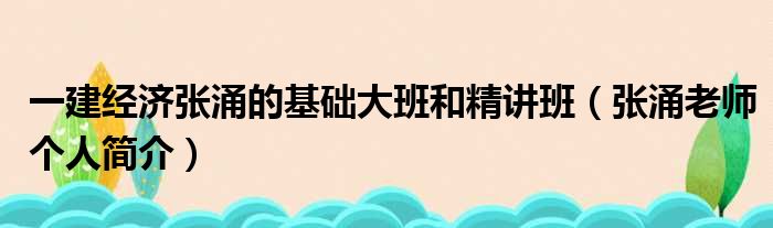 一建经济张涌的基础大班和精讲班（张涌老师个人简介）