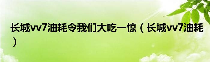 长城vv7油耗令我们大吃一惊（长城vv7油耗）