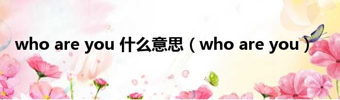 who are you 什么意思（who are you）