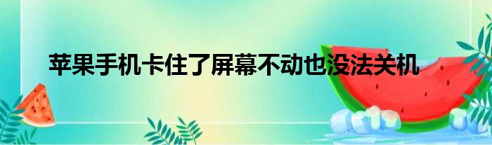 苹果手机卡住了屏幕不动也没法关机