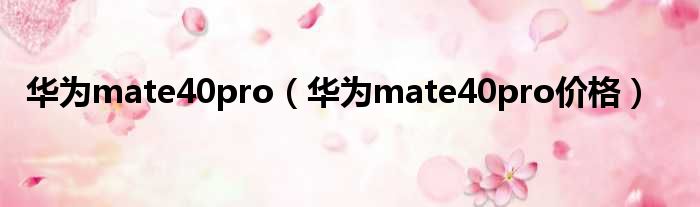 华为mate40pro（华为mate40pro价格）