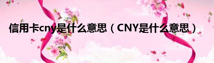 信用卡cny是什么意思（CNY是什么意思）