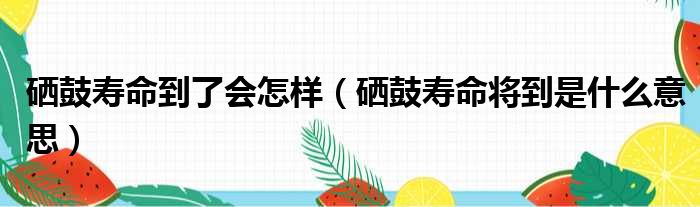 硒鼓寿命到了会怎样（硒鼓寿命将到是什么意思）