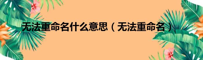 无法重命名什么意思（无法重命名）