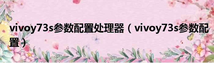 vivoy73s参数配置处理器（vivoy73s参数配置）