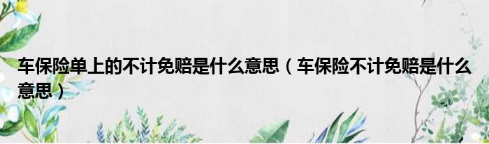 车保险单上的不计免赔是什么意思（车保险不计免赔是什么意思）