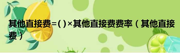 其他直接费=( )×其他直接费费率（其他直接费）