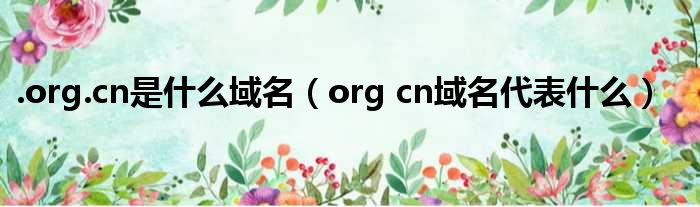 .org.cn是什么域名（org cn域名代表什么）