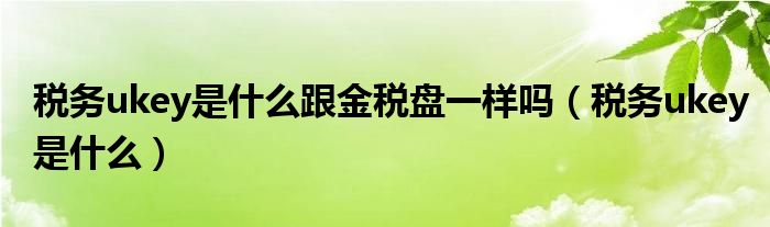 税务ukey是什么跟金税盘一样吗（税务ukey是什么）