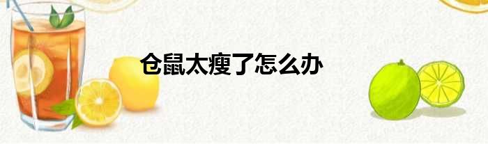 仓鼠太瘦了怎么办