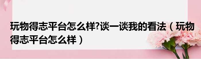 玩物得志平台怎么样 谈一谈我的看法（玩物得志平台怎么样）