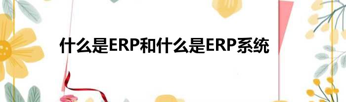 什么是ERP和什么是ERP系统