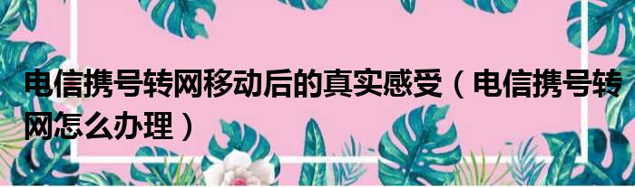 电信携号转网移动后的真实感受（电信携号转网怎么办理）