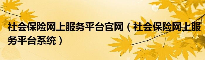 社会保险网上服务平台官网（社会保险网上服务平台系统）