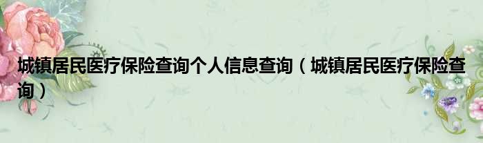 城镇居民医疗保险查询个人信息查询（城镇居民医疗保险查询）