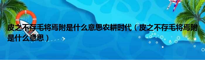 皮之不存毛将焉附是什么意思农耕时代（皮之不存毛将焉附是什么意思）