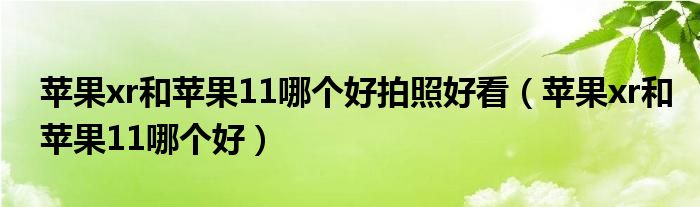 苹果xr和苹果11哪个好拍照好看（苹果xr和苹果11哪个好）