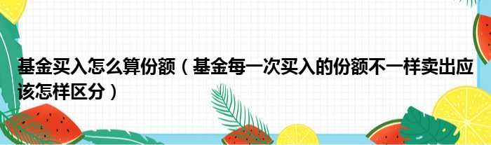 基金买入怎么算份额（基金每一次买入的份额不一样卖出应该怎样区分）